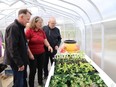 three people look at new seedlings in a greenhouse