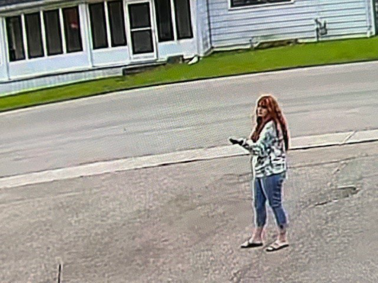 Shots fired at homes in Delhi Simcoe Reformer