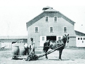 Photographic evidence like this photo of a feeding operation indicates the Lovejoy family were successful farmers for their time.