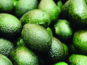 The United States’ appetite for avocados continues to grow, setting import records at 1.26 million metric tonnes in 2023, an 11 per cent increase year-on-year (Getty Images)