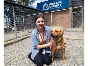 Victoria Zubick of the Humane Society London and Middlesex holds a dog called Honey. The London shelter has a wait list of six months for people who want to surrender their dogs. Photograph taken on Thursday, June 13, 2024. (Mike Hensen/The London Free Press)