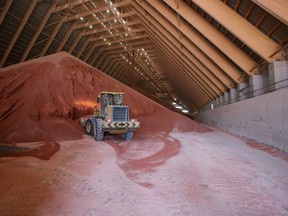 Urea prices are lower compared with a year ago, with Egypt seeing the biggest cut as prices trade 50 per cent below mid-May 2023
