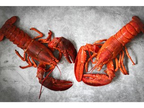 illustration - lobster