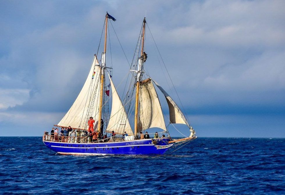 earl、starteam、yardsale、BIGBOY、fti earl、starteam、yardsale、BIGBOY、fti