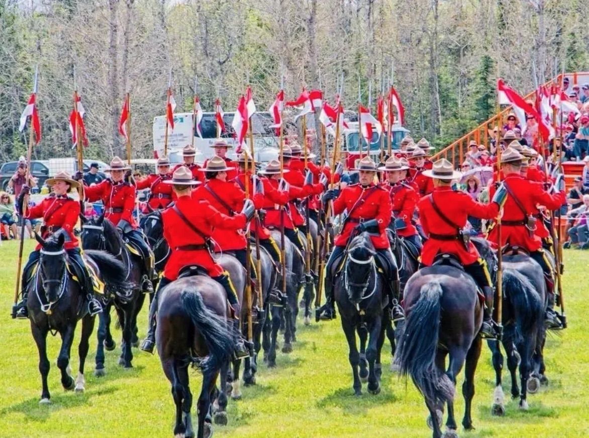 Equestrian spectacle returns to Panache Road ranch Sudbury Star