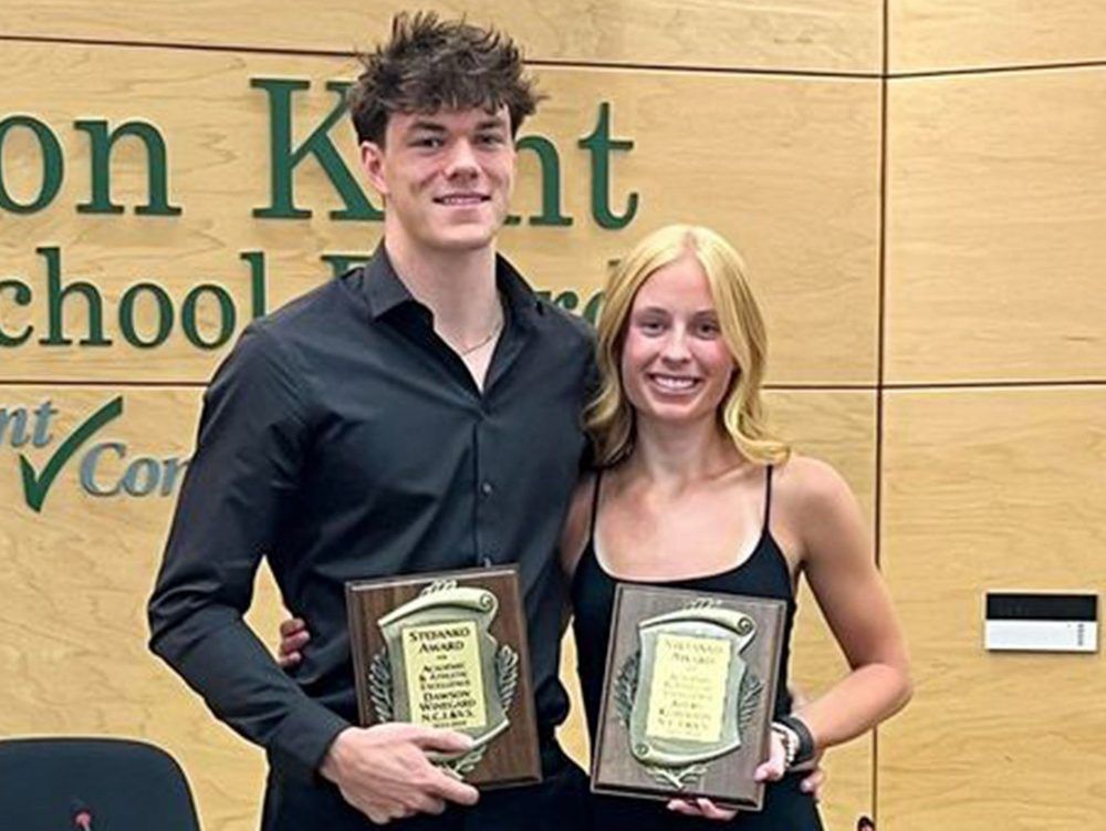 Northern Vikings sweep Stefanko Awards | The Sarnia Observer