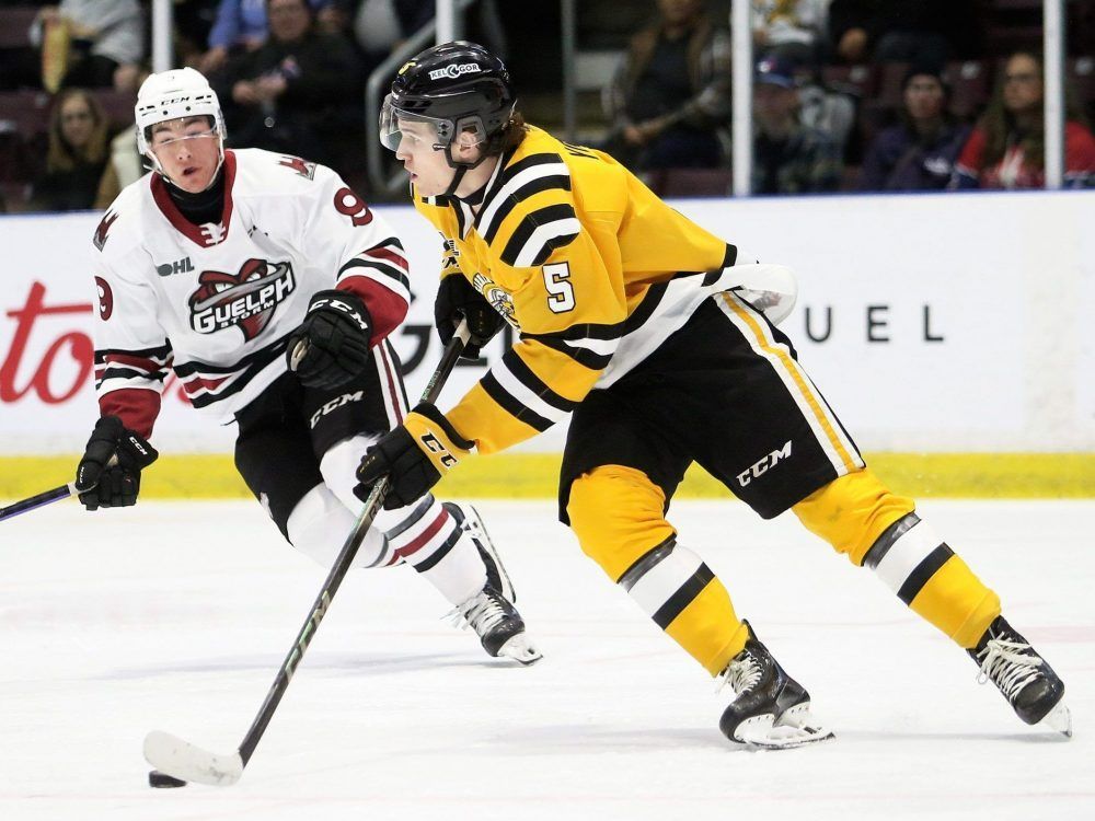 Sarnia Sting ask veterans to steer ship Brantford Expositor