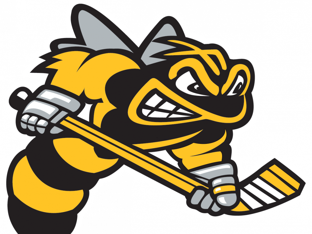 The Sarnia Sting continue their search for a new head coach after firing fifth-year bench boss Alan Letang.