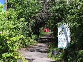 Junction Creek trail