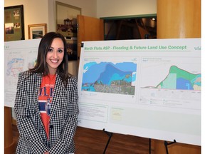 Planning Director Jennine Loberg answered questions about an area plan for North Flats