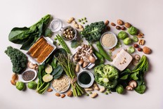 Variety of vegan, plant-based protein sources.