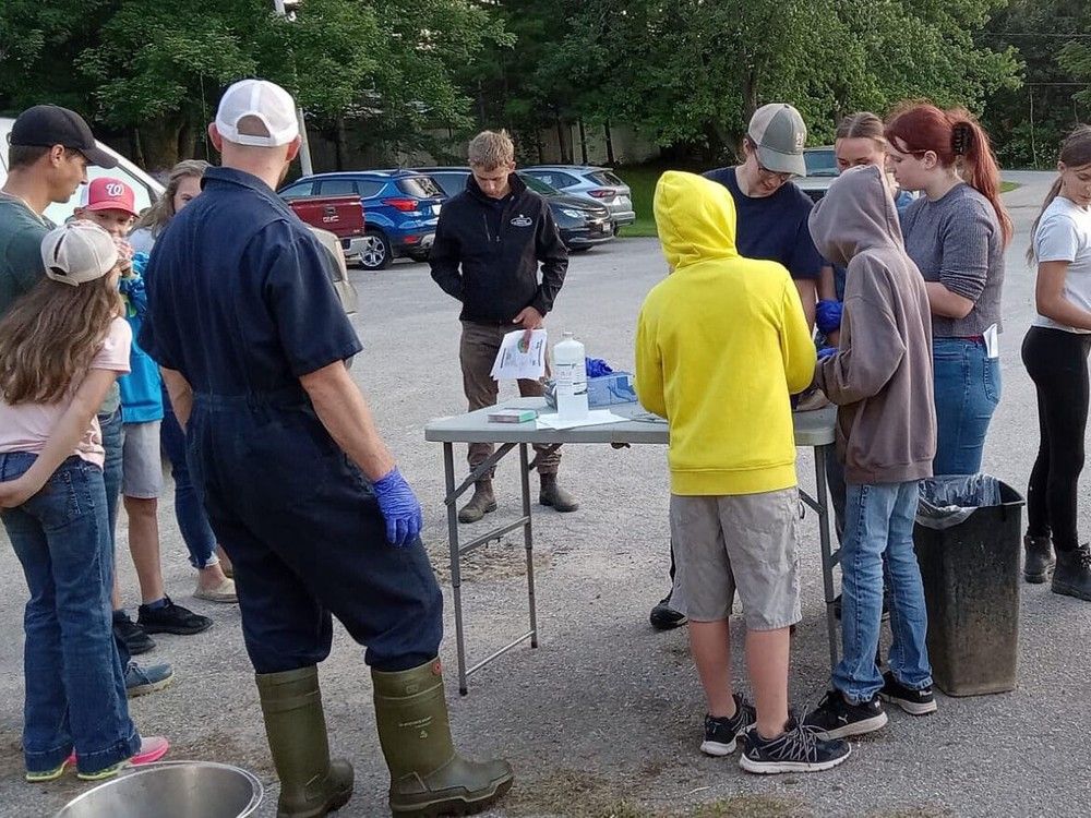 South Bruce dairy club gets handson experience at area vet clinic