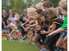New record set at Pat Cook Memorial Run | The Stratford Beacon Herald