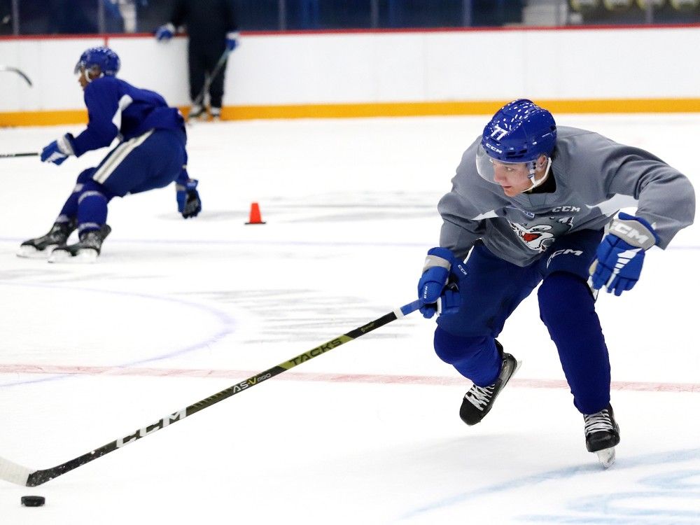 Wolves’ recent signees make most of new opportunities Sudbury Star