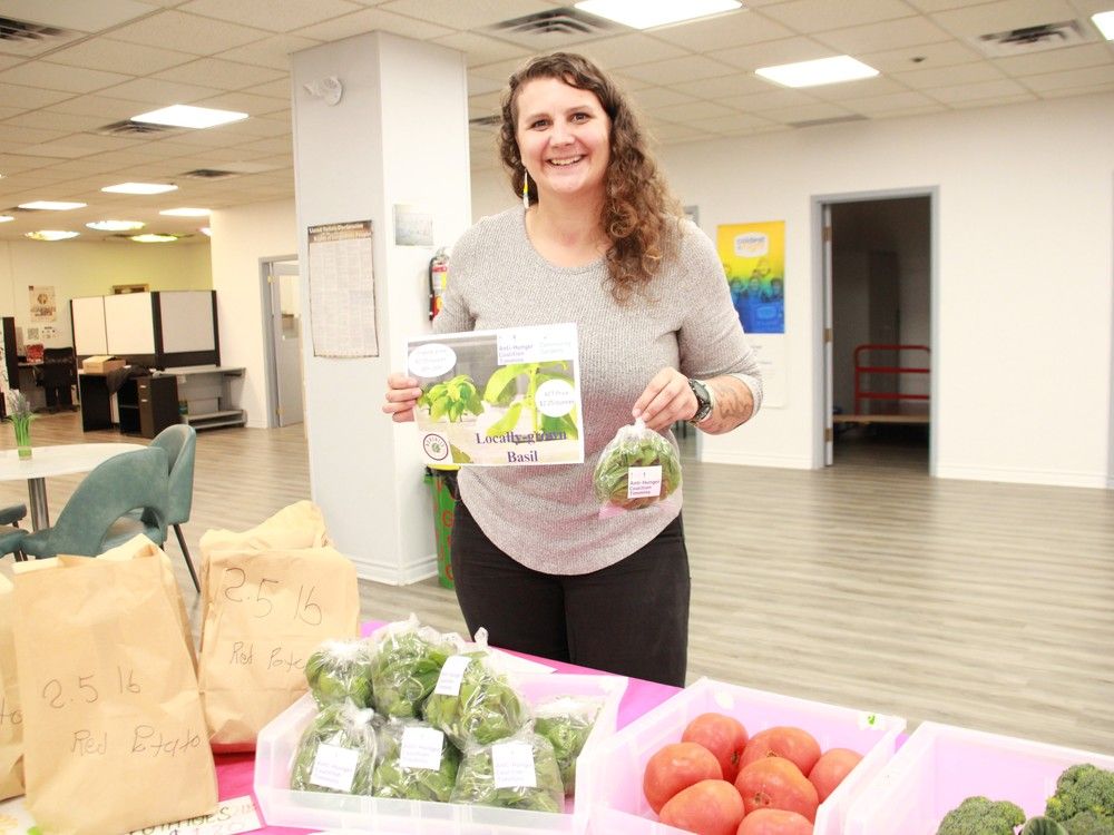 Antihunger charity makes hydroponic basil affordable North Bay Nugget