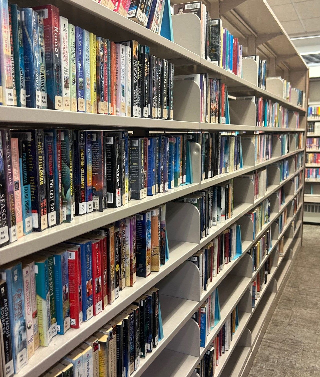 Nipissing MPP Fedeli gives 40,000 for Nipissing First Nation Library