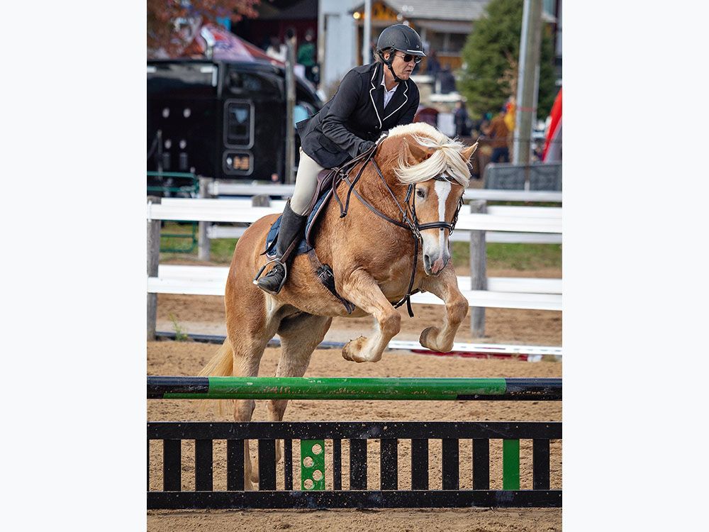 Horses a key component at Norfolk County Fair and Horse Show The
