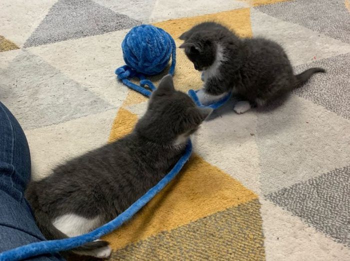 Crafting for a cause Devon Dispatch