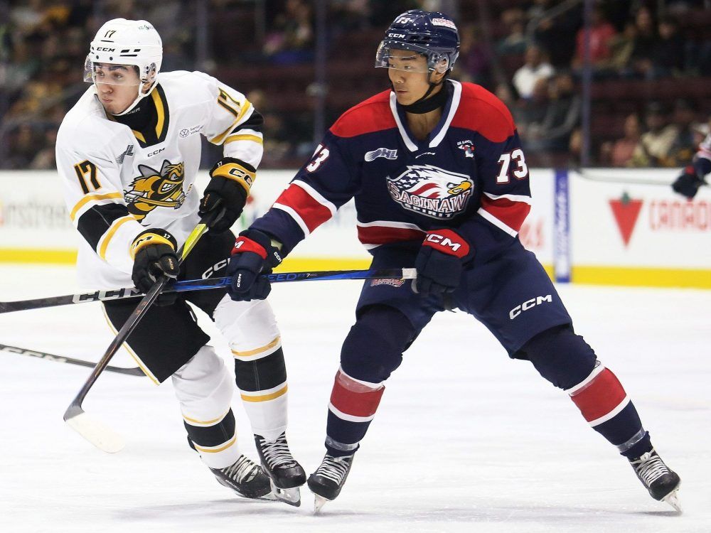 Sarnia Sting lose shootout to Saginaw Spirit Brantford Expositor
