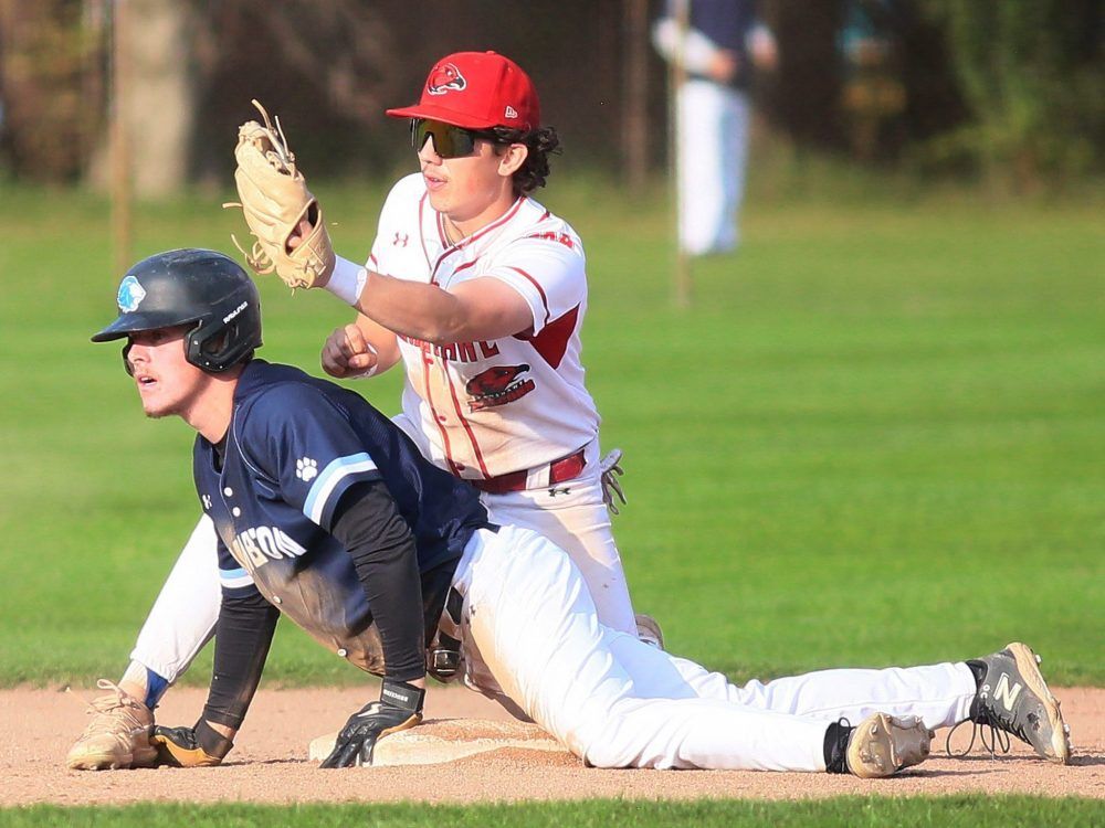 Lambton Lions play dirtbag baseball The Sarnia Observer