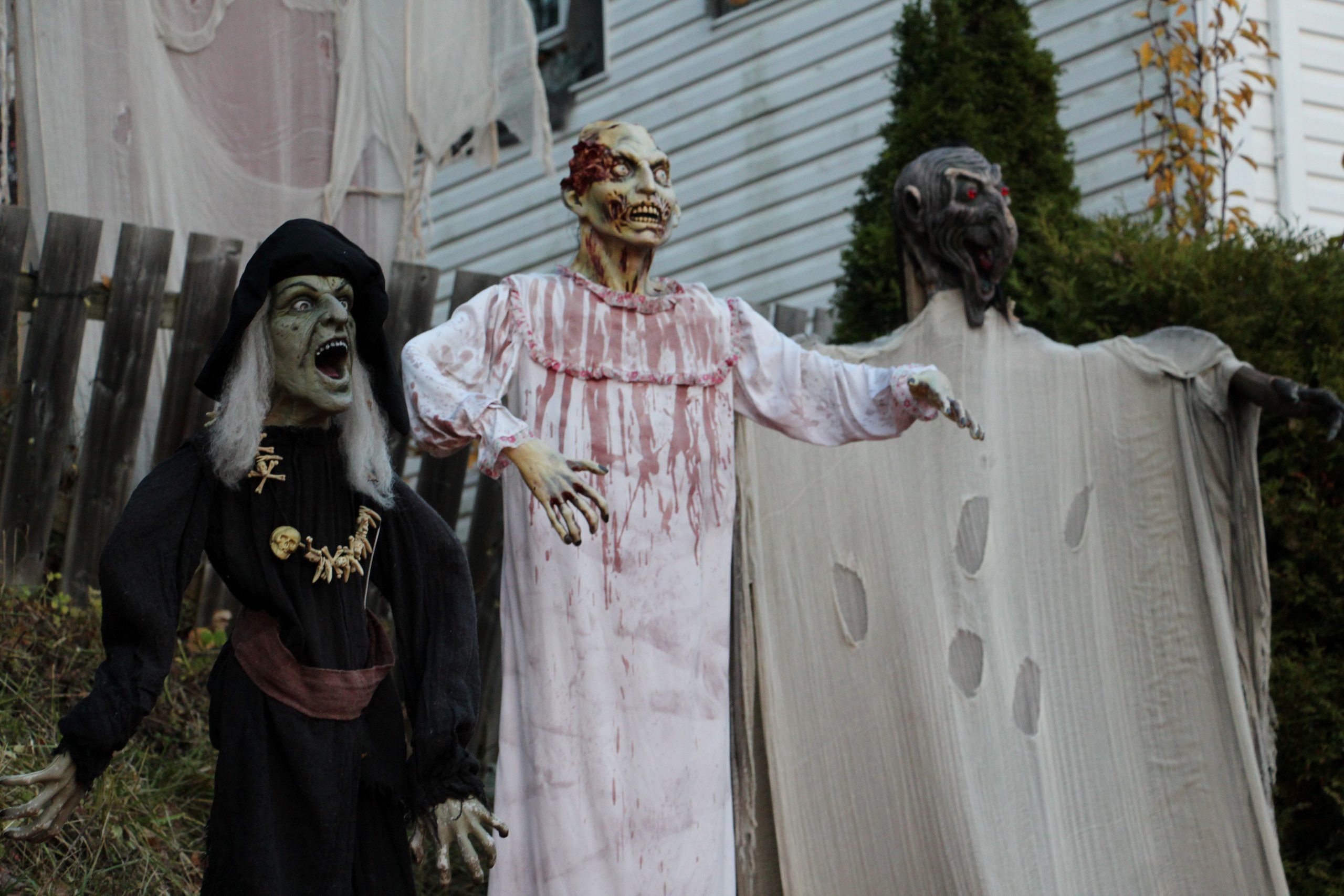 Head to 190 Birch Street for a true haunt this Halloween The Daily Press