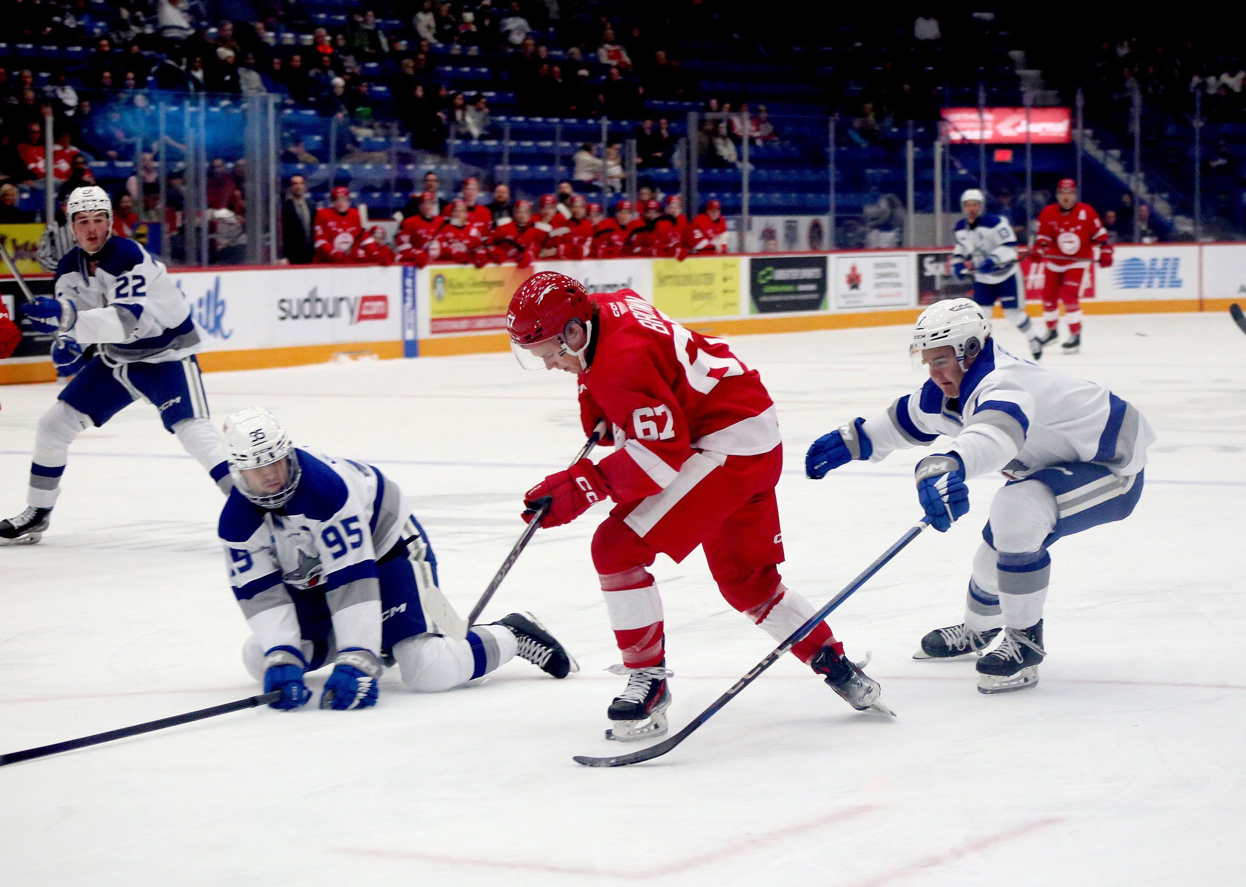 Pharand finding his form amid Wolves’ strong start Elliot Lake Standard