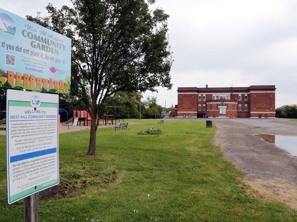 Belleville mayor says West Hill needs "park we can be proud of" The