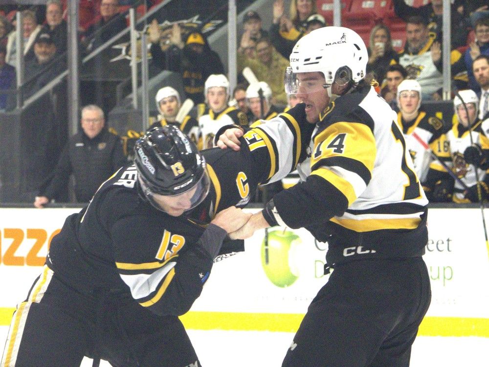 Sarnia Sting fall behind early in loss to Brantford Bulldogs Clinton