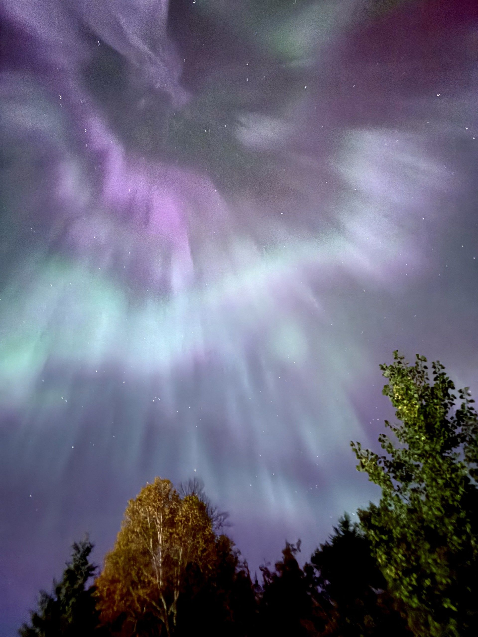 Some dazzling shots of the Northern Lights display locally Sault Star