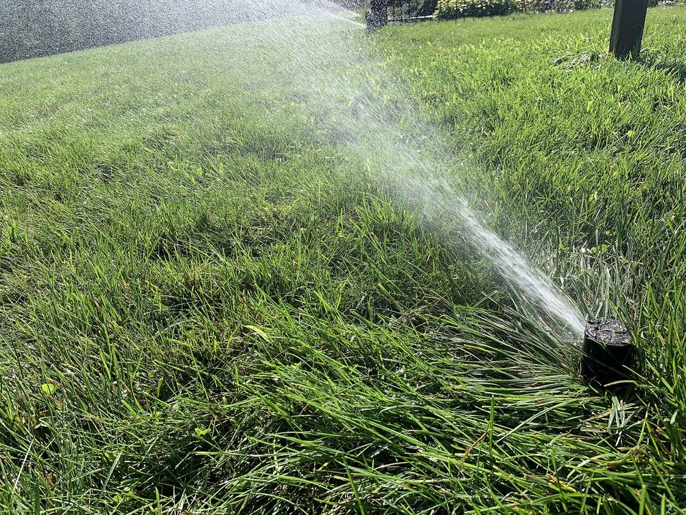 GARDEN CLIPPINGS Proper fall lawn care The Sarnia Observer