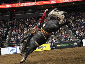 Local cowboy Lamb makes comeback at Canadian Finals Rodeo | Sherwood ...