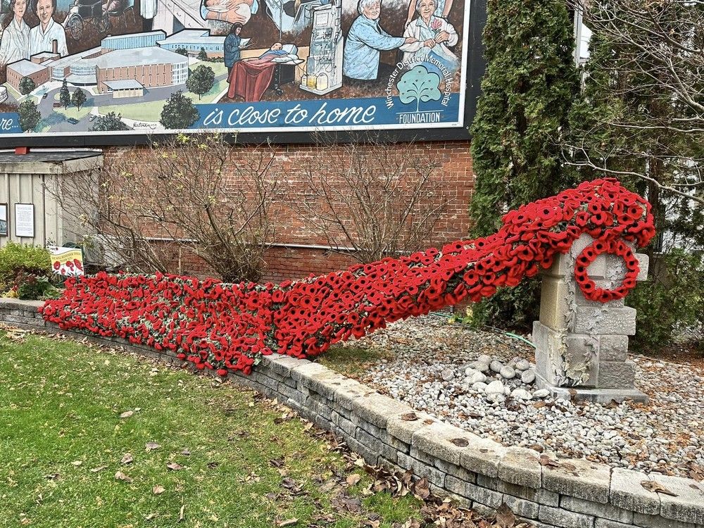 Over 10,000 crocheted poppies displayed in North Dundas | Cornwall