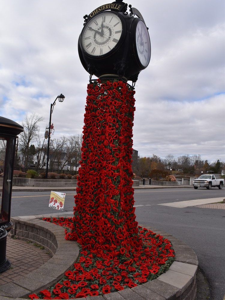 Over 10,000 crocheted poppies displayed in North Dundas | Cornwall