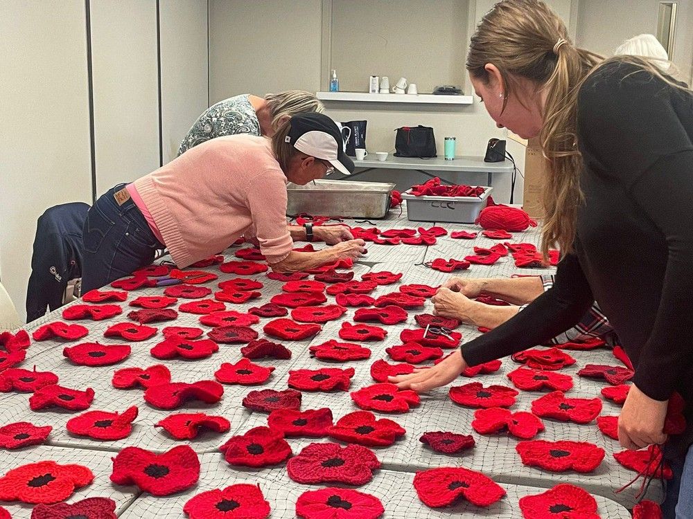 10,000 Poppies mark a season of remembrance | The Paris Star