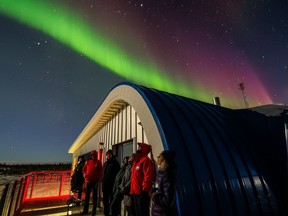 Corunna's Shaun Antle recently spent time in Churchill, Manitoba.