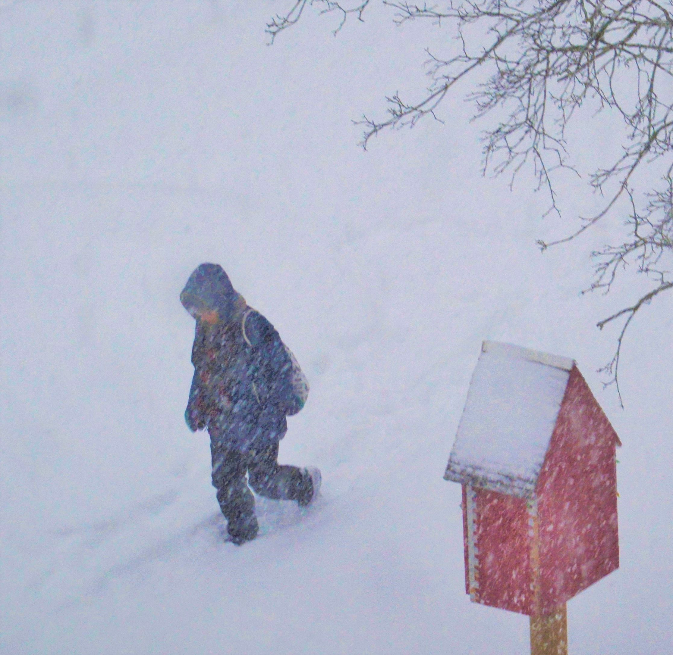 Lakeeffect snow squalls to blanket Quinte Belleville Intelligencer