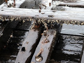 Wreckage, vessel, washed ashore, Erieau, Lake Erie