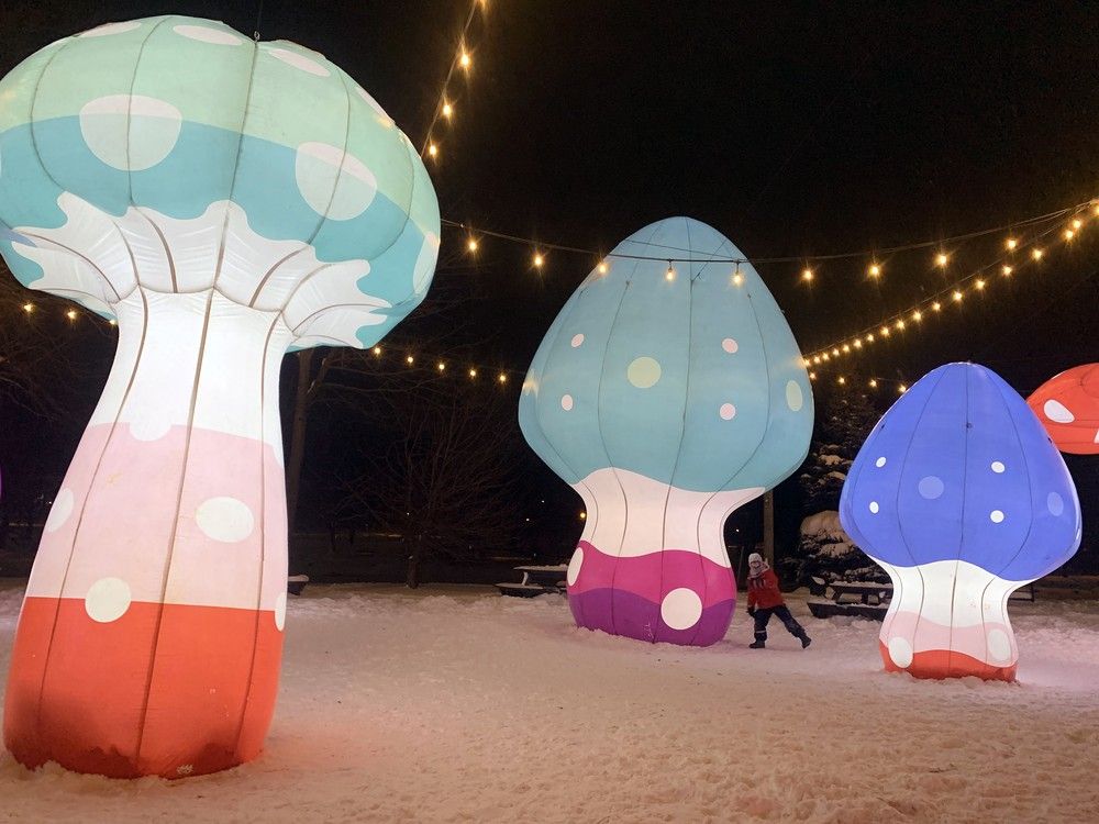 Lights On Stratford ready to illuminate the city