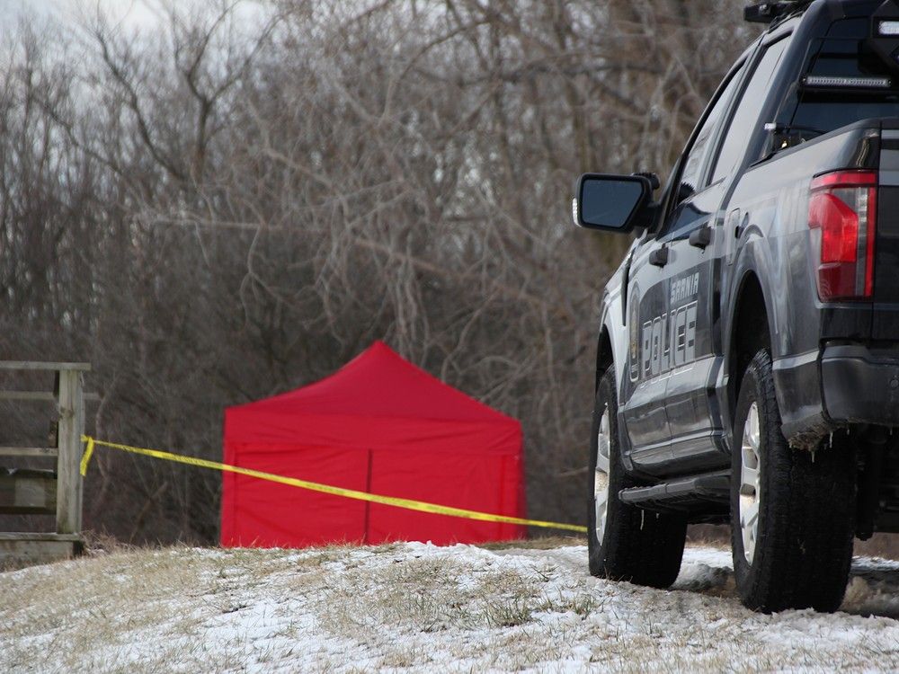Two of the three people charged with first-degree murder in the death of a missing Sarnia man have been ordered to stand trial.