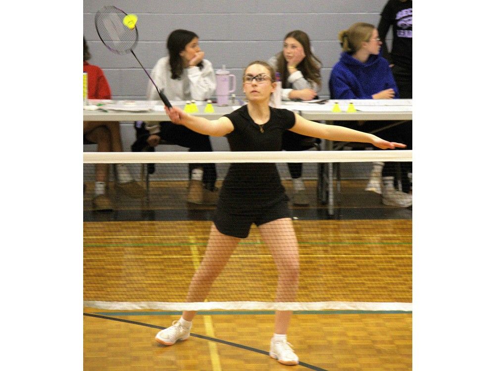 AABHN senior badminton champions crowned