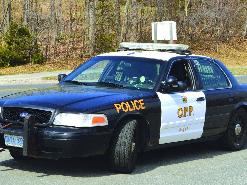 Redbridge and North Bay men among 63 charged in child sexual abuse and exploitation on the Internet