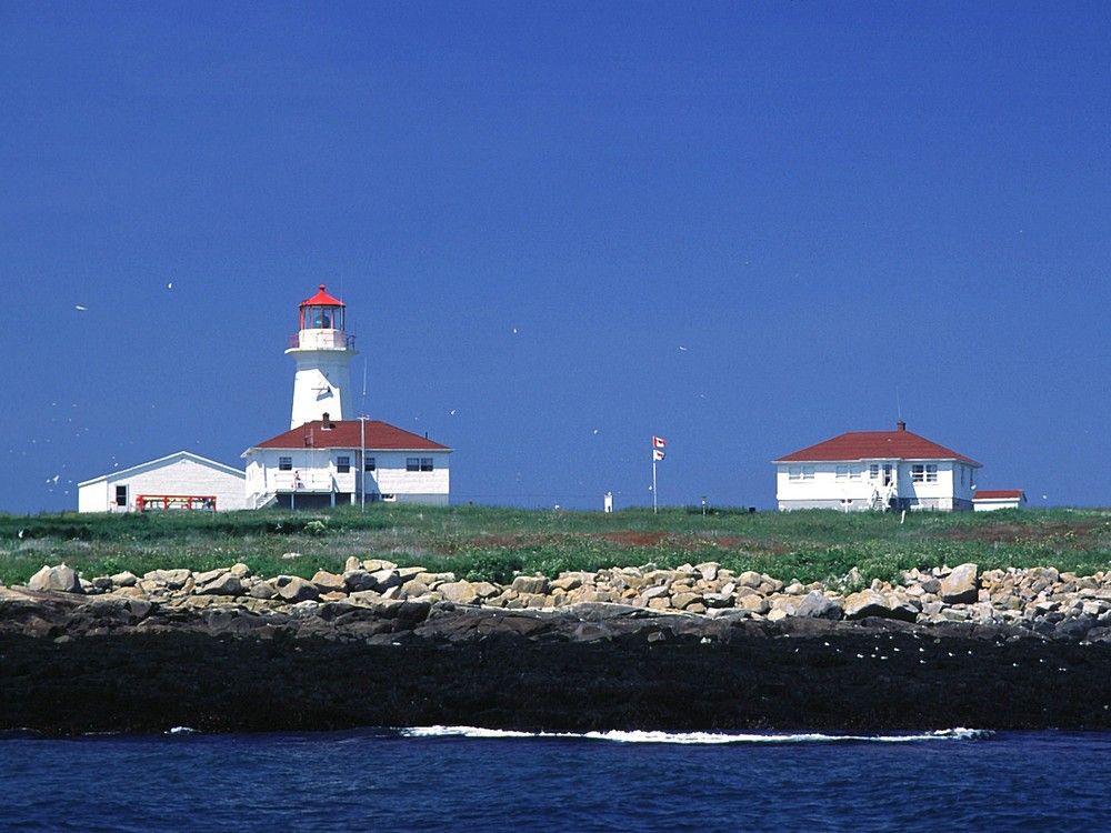 Machias Seal Island.