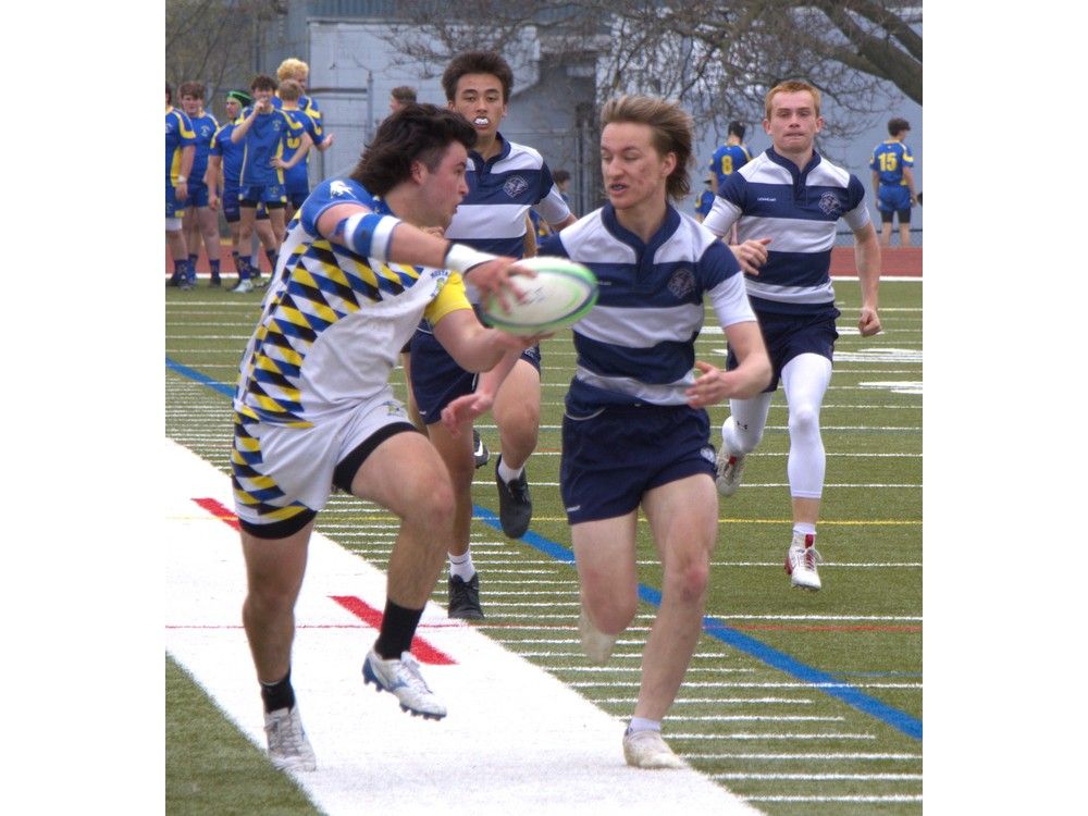 Assumption boys rugby program growing | Brantford Expositor