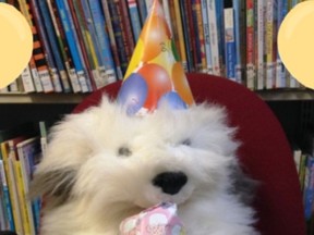 Library launches exciting spring, summer programs for kids, families ...
