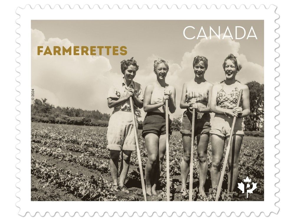 The identity of three young women in an old photo that led Bonnie Sitter to uncover the story of the farmerettes remains a mystery.