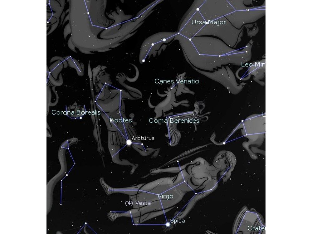 Curt Nason: Herding bears across the night sky