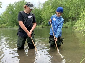 Sullivan Lomax and Oliver Bishop hunt for critters
