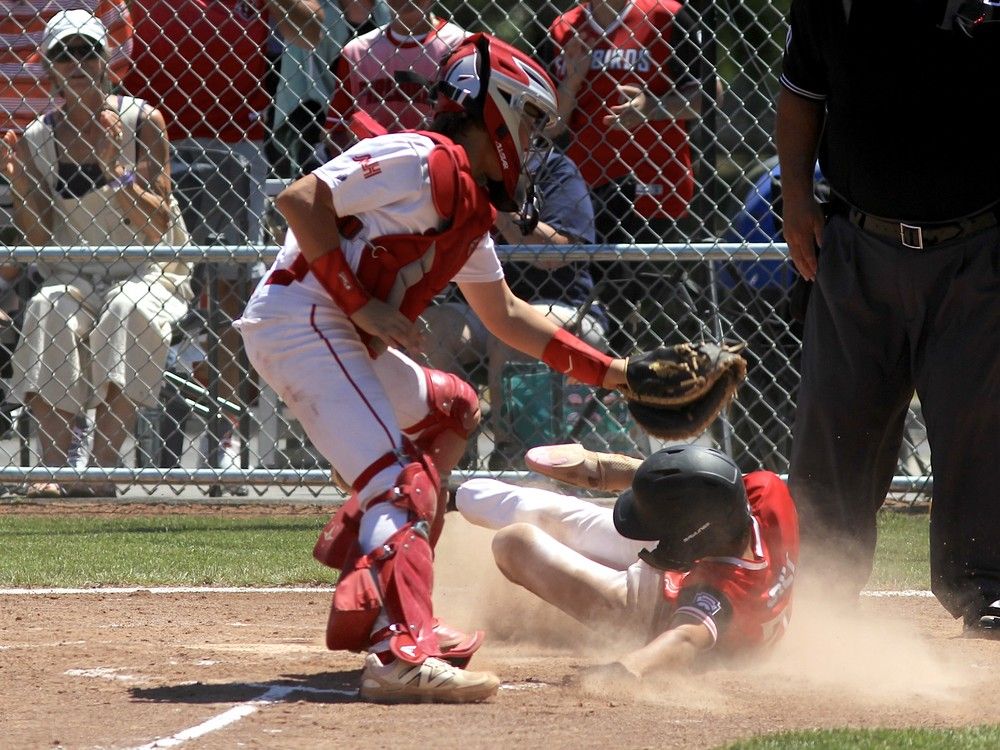 British Columbia runs table for national intermediate Little League title with win over Alberta