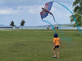 A kid watches a kite take flight in Bluewater Park, Wiarton.