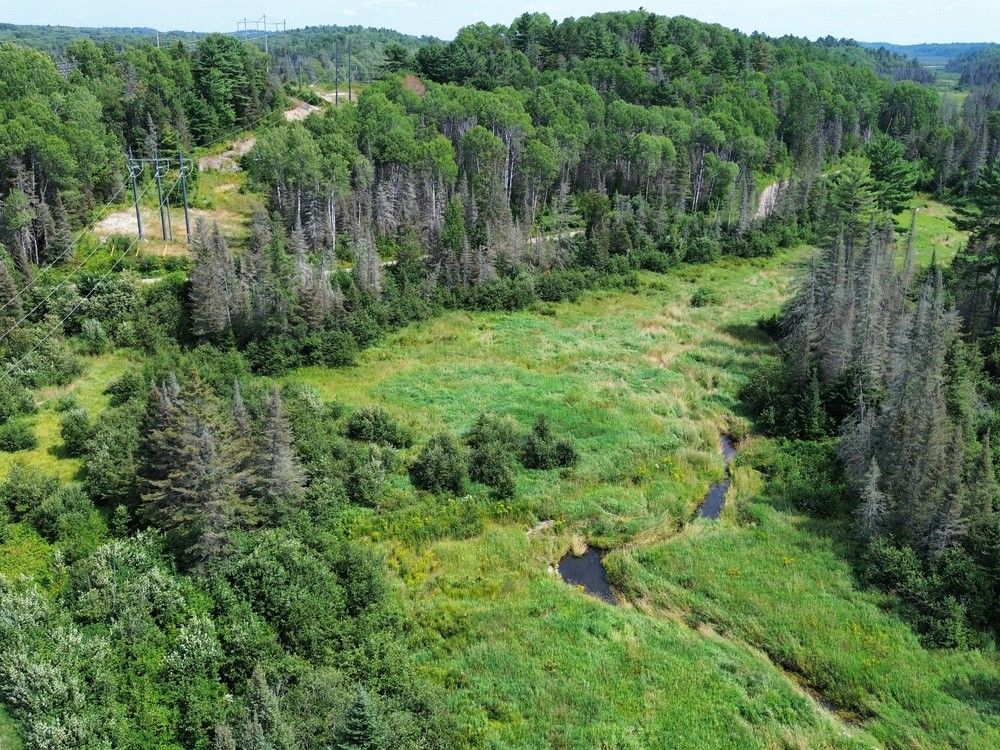 500-acre solar farm proposed in Sables Spanish Rivers Township